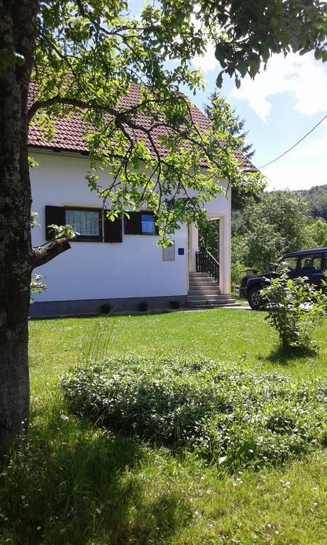 Apartment Gabi Smoljanac